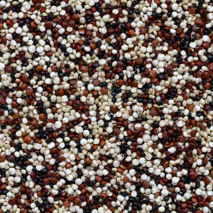 Quinoa: Descubre las propiedades de este alimento ancestral